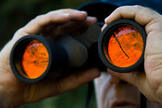 Picture man with binoculars